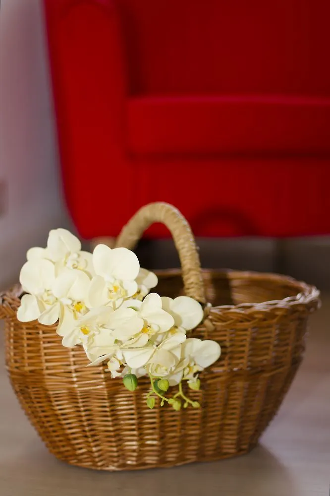 B&B Ginester Rome